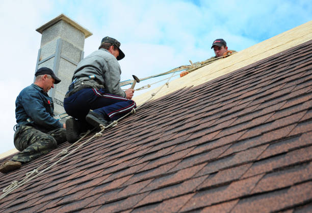 Professional Roofing Contractor in Cordova, NC